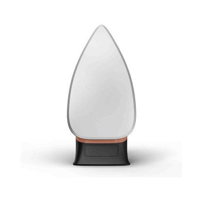 Tefal Classical Plus Dry Iron